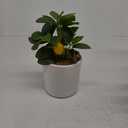 AceList Nearly Natural Small Fake Lemon Tree for Lemon Decor, 14.6 Inches Artificial Lemon Tree with White Pot Potted Plant Perfect for Kitchen, Home, Indoor