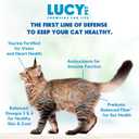 Lucy Pet Products Pet Chicken, Brown Rice & Pumpkin, LID Cat Food 4lb (EXP 10/14/26)