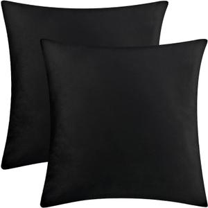 Bunliuys 2 Pack 20x20 Pillow Cover Velvet Pillow Covers, Square Throw Pillow Covers for Living Room Decorations Throw Pillow Case, Throw Pillow Cover Cushion Cover for Sofa Bedroom Car, Black Velvet