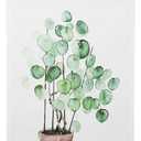 HONKKI Magnetic Poster Frame Hanger, Natural Teak, Poster Hanger for Photos, Pictures, Prints, Maps, Scrolls and Canvas Artwork (8 Inch)