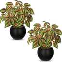 2 Packs Artificial Plants in Black Pot Tradescantia Zebrina Fake Plants Potted Decorative Faux Plant for Home Kitchen Decor