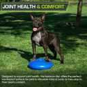 ProsourceFit Core Balance Disc Trainer, 14 Diameter with Pump for Improving Posture, Fitness, Stability