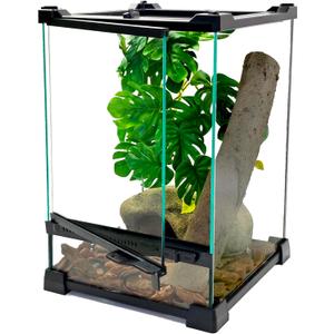 Woyrise Reptile Glass Terrarium Tank 8"x8"x12", Front & Top Opening Door Full View Visually Appealing Mini Reptile or Amphibians Habitat, Stackable Vertical Enclousure for Small Reptiles