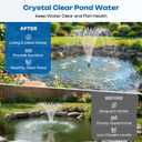 Antfraer Pond Filter with LED Lights, Built-in U-V Clarifier Pond Filter with 660GPH Fountain Pump & Remote Control, Multi-Stage Filtration Pond Filter Box with for Outdoor Ponds Waterfall Fountain