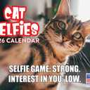 Cat Selfies Calendar 2026 Monthly Wall Calender 12 Month | American Made In The USA