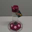 Perky-Pet 209BW Glass Hummingbird Feeders for Outdoors Hanging - 30 oz - Ant Moat & Bee Guarded, Our Best Royal Berry Hummingbird Feeder