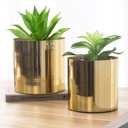 MyGift Set of 2 Handcrafted Shiny Brass-Tone Metal Plant Pots & Flower Vases Decorative Indoor Table Planters, Handmade in India