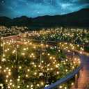 AOSEA Larger Bulbs Solar Garden Lights Outdoor, 2 Pack 18 LED Solar Firefly Lights Fairy Swaying by Wind for Outside, IP67 Waterproof,for Patio Garden Yard Walkway Sidewalk, Black (warm white-black)