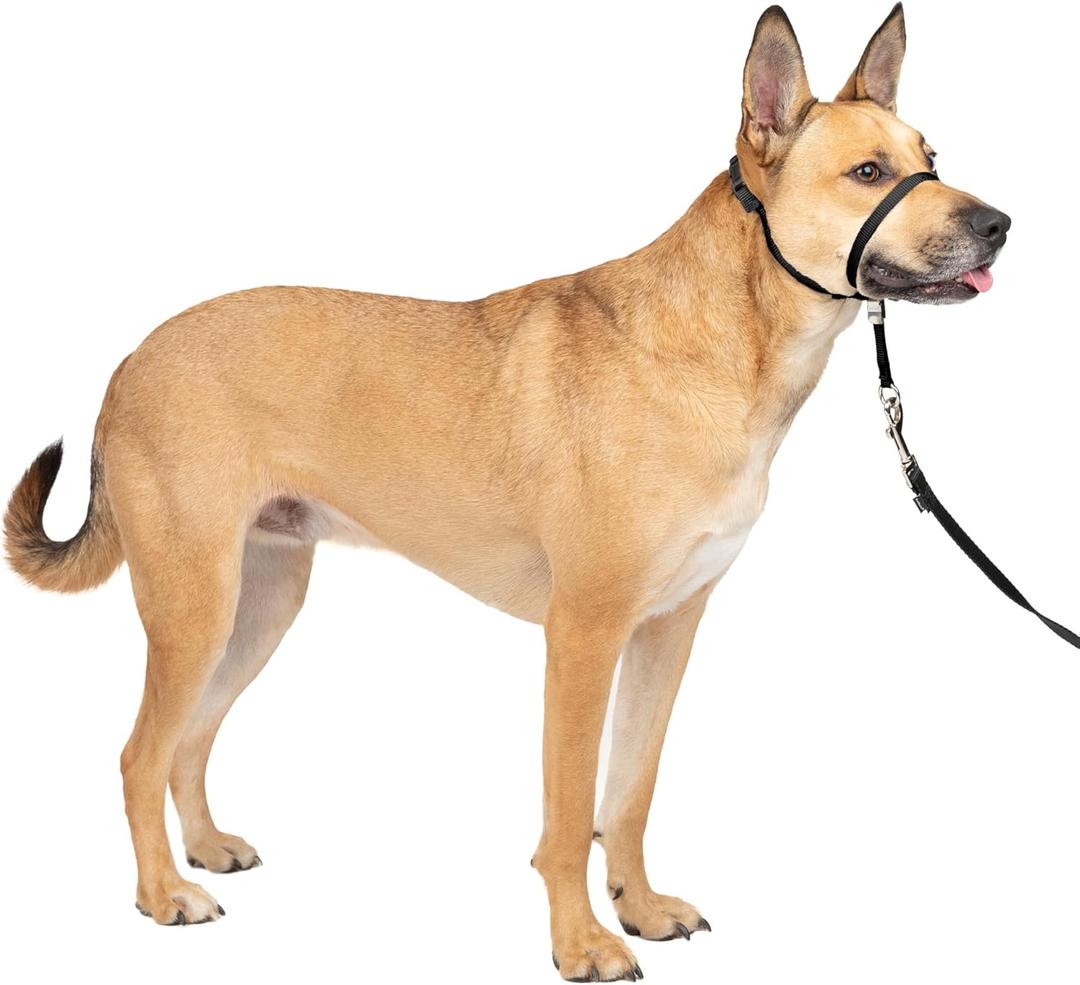 PetSafe Gentle Leader No-Pull Dog Headcollar - The Ultimate Solution to Pulling - Redirects Your Dog's Pulling for Easier Walks - Helps You Regain Control - Medium, Black