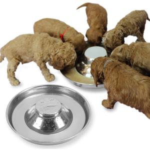 Stainless Steel Puppy Dog Bowls 2 Pack, Pets Puppies Feeding Food and Water Weaning Bowls Dishes Feeder, 10.3 Inch