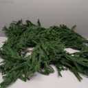 Rowfad 2 Pcs 9 Ft Artificial Norfolk Pine Garlands, Realistic Christmas Pine Garland Faux Winter Greenery for Holiday Table Centerpiece, Mantel, Wall, Indoor, Outdoor Christmas Decor,(4, 9 Ft)