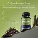 2 x Yerba Mate Capsules - Yerba Mate Complex Supplement for Focus, Memory & Energy Support - Mate Tea Alternative with Natural Caffeine, Portable & Easy to Use - 60 Servings