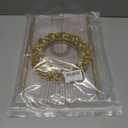 HEVSTIL Classical Style Quality Curtain Tieback Gold Curtain Tie with Rod Plastic Curtain Buckle Drapery Holdbacks Curtain Panel Holdbacks for Window Decoration,Set of 2