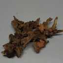 Small Natural Driftwood for Aquarium Styling Carefully Selected Natural Aquarium Decor Driftwood for Reptile Tank Reptile Tank Wood Decor (Driftwood 4-6inch 4 Pack)