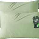 Bedsure Zipper Pillow Cases Queen, Cooling Pillow Cases Queen Size Set of 2, Rayon Derived from Bamboo Cooling Pillowcases for Hot Sleepers, Soft & PureWoven Pillow Covers, Sage Green, 20x30 Inches
