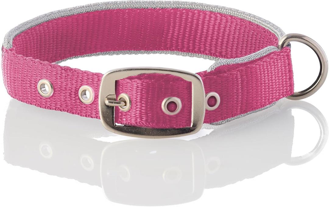 Pet Passion Adjustable Silver Trimmed Dog Collar for Pets Small, Medium and Large Dogs, Silver/Hot Pink, X-Large