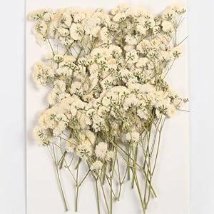 60 Pieces Dried Flowers Dried Flower Real Dried Pressed Flowers for Jewelry Candle Card Making DIY Resin Ornaments Nail Art Flowers Decorations (Babysbreath)
