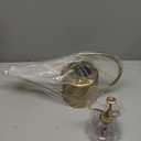 Remiawy Watering Can Indoor Outdoor Stainless Steel Watering Cans for House Plants Long Spout Water Can for Succulent Bonsai Garden Flower(40oz/1300ml)