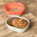 Trixie Pico Transport Crate, Small Pet Carrier, Portable Travel Carrier, for Small Pets, Hamsters, Guinea Pig, Lizards