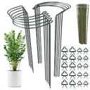 TCBWFY 10 Pack Plant Support Stakes for Peony,10" Widex16 High Heavy Duty Peony Cages and Support,Metal Peony Supports for Outdoor Indoor Plants,Plant Supports for Peony,Tomatoes,Hydrangea,Rose
Visit the TCBWFY Store