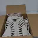 5.9ft/180cm Posable Halloween Skeleton, Life Size Skeleton Bones with Movable Joints for Halloween Graveyard Haunted House Spooky Scene Decor, 1pc