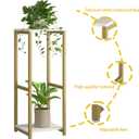 Plant Stand Indoor Corner Tall 2 Tier Metal Modern Flower Storage Plant Shelf Holder for Living Room Balcony Garden,Gold (2 Tier-Gold)