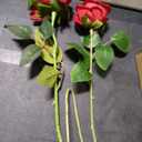 15pcs Artificial Rose Silk Flowers Long Stems Single Fake Flowers Bride Bouquet Realistic Touch Blossom Arrangement Home Office Party Living Room Décor(Red)