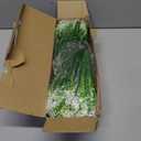 Fake Plants for Outdoors, 16 Bundles UV Resistant Artificial White Monkey Grass, Realistic Faux Greenery for Outdoor Patio Porch Farmhouse Planters, Indoor Home Decor