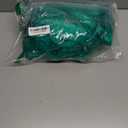 Bird Netting for Garden, 13Ft x 33Ft Green Anti Bird Protection Net, Plant Tree Netting for Protecting Fruit and Vegetables with 50 Ties and 20 Tacks