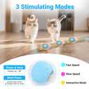 MoofeePaws Cat Toys for Indoor Cats, Interactive Cat Toy for Adult Cats