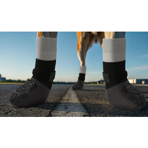 EXPAWLORER Anti-Slip Dog Socks,Dog Boots&Paw Protectors to Prevent Licking,Dog Shoes for Hot/Cold Pavement, Double Sides Non-Skid Traction Control on Hardwood Floor for Senior Dogs (Medium (4 Count), Black)