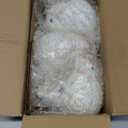 Set of 3 Resin Bird Figurines  Decorative Animal Sculptures for Home Decor  Polyresin Rustic Bird Statues for Shelves, Desks, Tables, or Living Room Accent Display  5" Ivory