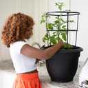 Bloem Ariana 12" Plastic Self-Watering Planter, Black, 2-Pack | Self-watering disk at the bottom of each pot that acts as a water wick and reservoir for optimal plant health