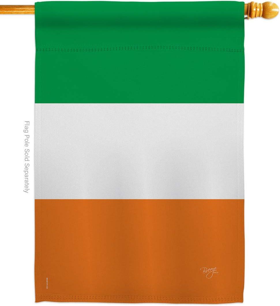 Irish Flag Ireland Home Decor Banner St Patrick Tapestry Shamrock Lucky Holiday Wall American Patio Decorations Small Lwan Garden March Clover Outdoor Erin go Bragh Gifts Made In USA