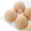 100 PCS 6 Grids Plastic Egg Cartons, Clear, 14.8 x 10.2 x 6.2 cm, Egg Storage, Transportation