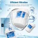 Water Filter Replacement Compatible with GE MWF, SmartWater MWFP, MWFA, GWF, HDX FMG-1, WFC1201, RWF1060, 197D6321P006, Kenmore 9991, Pack of 4, By DESENRUIS