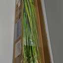 Artificial Plant, 47in Onion Grass Artificial Plant in Pot, Indoor Decorative Flowers &Greenery for Home and Office, Ideal Housewarming Gift