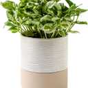 Nihow Self Watering Plant Pot: 6 Inch Ceramic Planter with Drainage Hole & Water Storage Plus for Indoor & Outdoor Plants - Cylinder Round Flower Pot for Succulent/Herbs/Violets - Cream White & Brown