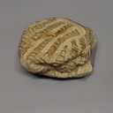 Morvally Men's Women 80s Blonde Rocker Mullet Wig with Glasses and Necklace - Long Blonde Curly Glam Rock-Rockstar Wig Perfect for Halloween, Cosplay, DIY Themed Costume Party