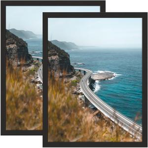 COREAET 18X24 Picture Frames Made of Solid Wood with High Definition Plexiglass,Black Poster Frame for Vertical or Horizontal Wall Display,2 PACK