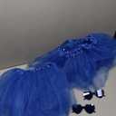 2 PCS Adult Tutus Skirts for Women Tutu Skirt Elastic Tulle Tutu Colored Tutus for Dance Runners Halloween Party (Blue)