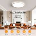 BLNAN LED Flush Mount Ceiling Light Fixture with Remote Control, 15.4 Inch 3000K-6500K Dimmable Round Low Profile Ceiling Lamp for Living Room Bedroom Kitchen, 16 Inch