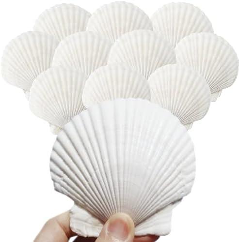 GRANITA 10Pcs 4-5 inch Sea Shells White Scallop Shells for Cooking Crafts, Large Sea Shells for Crafting Seashells Wreath Decoration for Home Decor