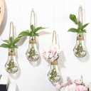 Baderke 12 Sets 3.15" Plastic Window Propagation Stations Hanging Propagation Vases Plant Test Tubes with Suction Cup & Traceless Nail & Brush Clear Wall Jars for Office Home Garden Decor Lover Gift
