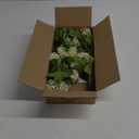DILATATA Faux Hydrangea Flowers 31" Cream Artificial Hydrangea Spray with 5 Flower Heads, 3 Per Bag.Faux Hydrangeas Plastic Flowers Fake Hydrangeas for Indoor Outdoor Wedding Table Centerpieces Decor