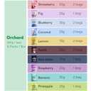 SUNGIVEN Mixed Freeze-Dried Fruit, Variety Pack of 12 Bag, Health Snack, Freeze Dried Apple Banana Strawberry Blueberry Raspberry Coconut Mango Pineapple, No Sugar Added, 10.2 oz