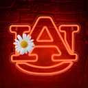 University Neon Sign for Wall Decor,University LED Neon Light Sign,Football Neon Signs,Neon Signs for Man Cave,College Name Lights,Dorm Decor for Students,Men,Teens,Size 13.8 * 11.8inch(FMXD384)