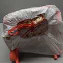 Convertible Combo Baby Doll Stroller for 3 Year Old Girls & Up | Play Toy Baby Stroller for Dolls, Folding Adjustable Bassinet Carriage Buggy with Storage Basket Converts to Sit Up Pushcart Pram, Red (Floral)