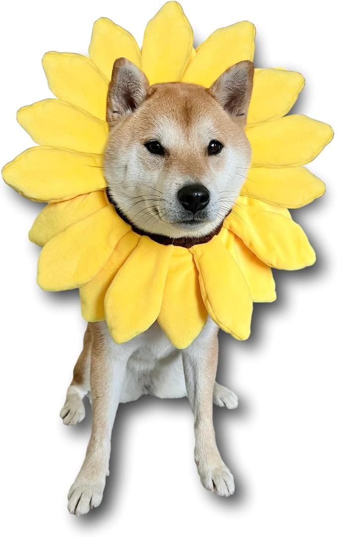 ComfyCamper Sunflower Dog Costume for Small Medium Large Dog Puppy Puppies Cat Kitten  Cute Head Flower Headband Outfits  Collar Cone Costume Hat Sombrero Outfit Pet Cosplay Halloween (X-Large)