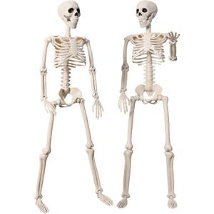 2 Pack 36" Halloween Skeleton Decorations, 3FT Realistic Full Body Movable Posable Joints Skeleton, Creepy Halloween Plastic Human Bones for Party Decor Lawn Haunted House Graveyard Props Outdoor (Beige)